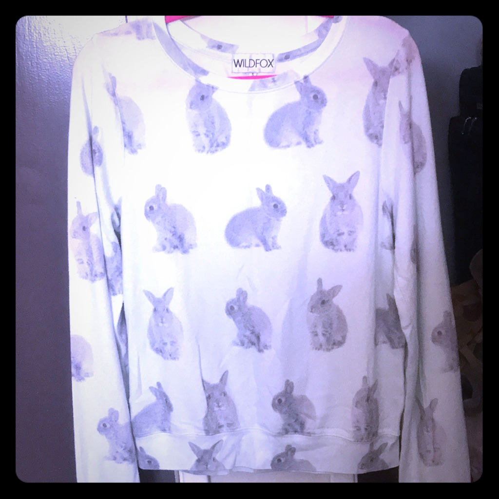 Wildfox Super Rare Snow Buns Bbjsuper Rare